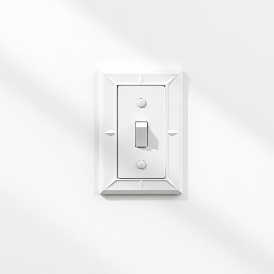 Light Switch Cover — custom manufactured by Infinite Creations